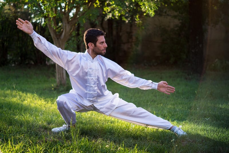Yang Style Tai Chi